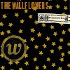 wallflowers