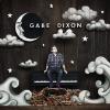 Gabe Dixon feat. James Walsh - I Can See You Shine