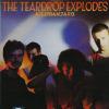 Teardrop Explodes - Reward