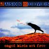 Jason Reeves - Wishing Weed