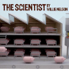 Willie Nelson-Coldplay - The Scientist