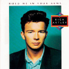 Rick Astley - Hold Me In Your Arms